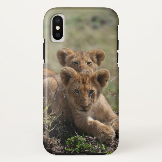 Wild African Lion Cubs Case-Mate iPhone Hülle (Rückseite)