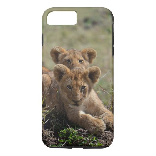 Wild African Lion Cubs iPhone 7 Plus Fall Case-Mate iPhone Hülle (Rückseite)