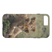 Wild African Lion Cubs iPhone 7 Plus Fall Case-Mate iPhone Hülle (Rückseite (Horizontal))