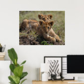 Wild African Lion Cubs Poster (Heimbüro)