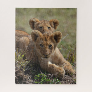 Wild African Lion Cubs Puzzle