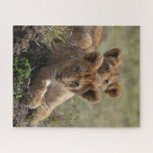 Wild-African Lion Cubs Puzzle (Horizontal)