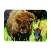Wild amerikanisches Bison mit Abstraktem Kalb Magnet (Horizontal)