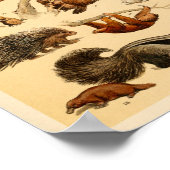 Wild Animal Collection Lion Tiger Kaninchen Print Poster (Ecke)