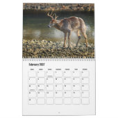 Wild Animals Calendar Kalender (Feb 2027)