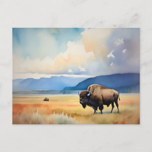 Wild auf der Wiese Postkarte