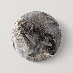 Wild Baby Bunnies Button