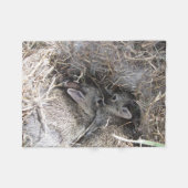 Wild Baby Bunnies Fleece Blanket (Vorderseite (Horizontal))