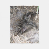 Wild Baby Bunnies Fleece Blanket (Vorderseite)