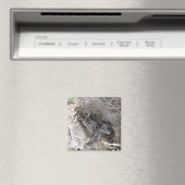 Wild Baby Bunnies Magnet (In Situ (Geschirrspüler))