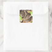 Wild Baby Bunnies Quadratischer Aufkleber (Tasche)