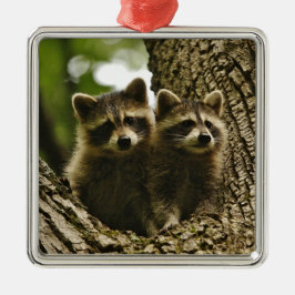 Wild Baby Raccoons Foto Ornament Aus Metall