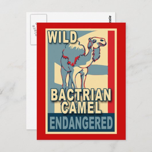 Wild-bactrian-Camel-Pop in Gefahr Postkarte (Vorne/Hinten)