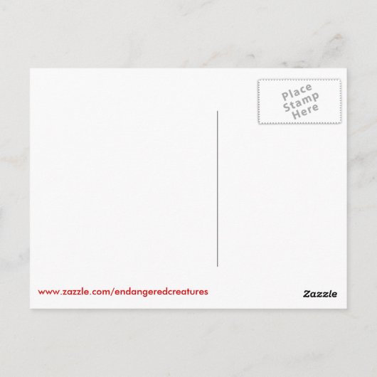 Wild-bactrian-Camel-Pop in Gefahr Postkarte (Rückseite)