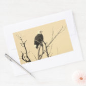 Wild Bald Eagle Stickers (Umschlag)