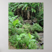 Wild Banana Trees Poster (Vorne)