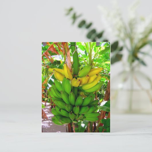 WILD BANANAS! POSTKARTE (Stehend Vorderseite)