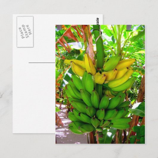 WILD BANANAS! POSTKARTE (Vorne/Hinten)