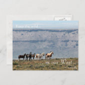 Wild Band, voradressiert: Innenministerium Postkarte (Vorne/Hinten)