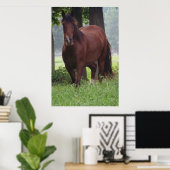 Wild Bay Horse Poster (Heimbüro)