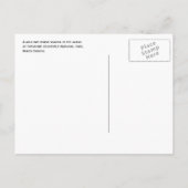 Wild Bay Horse. Theodore Roosevelt Nationalpark Postkarte (Rückseite)