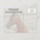 Wild Bay Horse, Wyoming Postkarte (Rückseite)