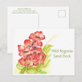 Wild Begonia Post Card Postkarte (Vorne/Hinten)
