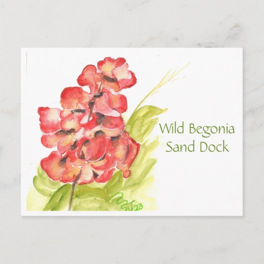 Wild Begonia Post Card Postkarte (Vorderseite)