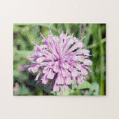 Wild Beramot - (Pink Bee Balm) Puzzle (Horizontal)