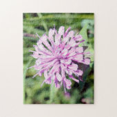 Wild Beramot - (Pink Bee Balm) Puzzle (Vertikal)