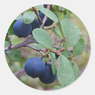Wild-Berries-Aufkleber Runder Aufkleber
