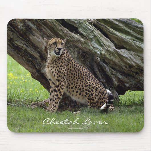 Wild Big Cats Tierliebhaber Design Mousepad (Vorne)