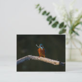 Wild Bird auf Zweig Postkarte (Stehend Vorderseite)