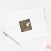 Wild-Bird-Buchzeichen Quadratischer Aufkleber (Umschlag)