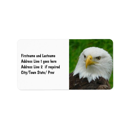 Wild Bird Fotografy - American Bald Eagle Adressaufkleber (Vorne)