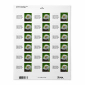 Wild Bird Fotografy - American Bald Eagle Adressaufkleber (Vorne)