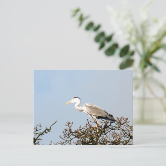 WILD BIRD HERON POSTKARTE (Stehend Vorderseite)