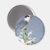 Wild Bird Winter Magnet (Vorderseite/Rückseite)