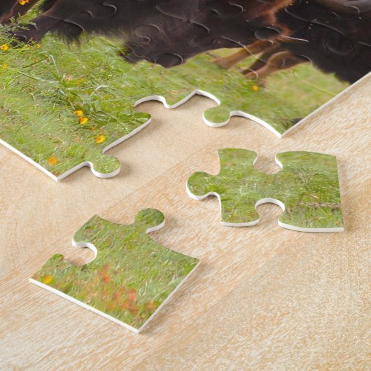 Wild Bison Oklahoma Puzzle (Seite)