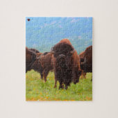 Wild Bison Oklahoma Puzzle (Vertikal)