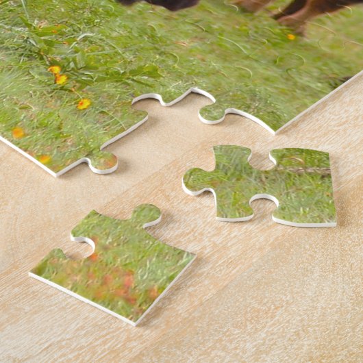 Wild Bison Oklahoma. Puzzle (Seite)