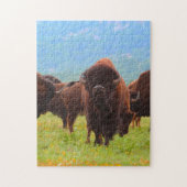 Wild Bison Oklahoma. Puzzle (Vertikal)