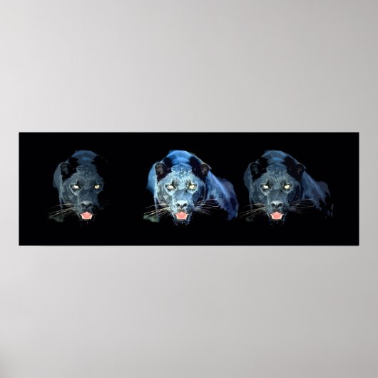 Wild Black Jaguar Cat Eyes Blue Tones Poster (Vorne)