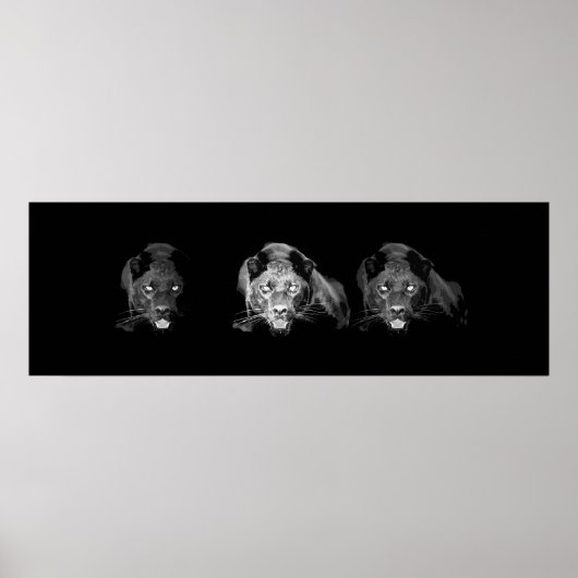 Wild Black Jaguar Cat Eyes Poster (Vorne)