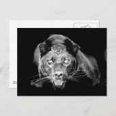 Wild Black Jaguar Cat Eyes Postkarten (Vorne/Hinten)