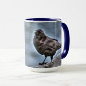 Wild Black Raven Crow-Liebhaber #Gift Tasse (VorderseiteRechts)