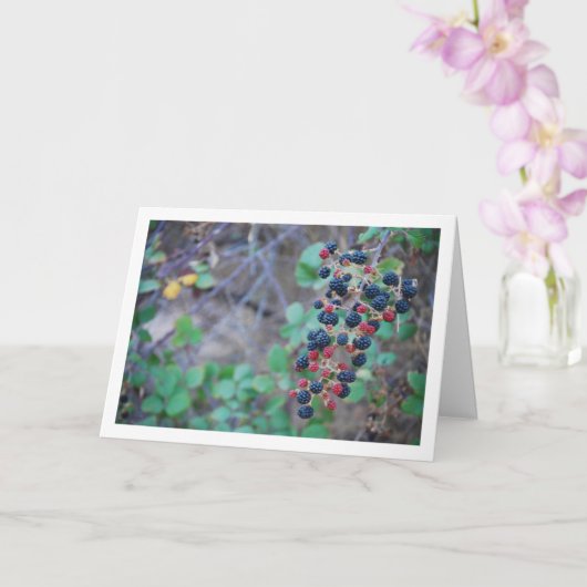 Wild BlackBerry Fruit Karte (Orchidee)