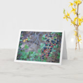 Wild BlackBerry Fruit Karte (Gelbe Blume)