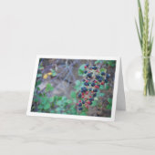 Wild BlackBerry Fruit Karte (Vorderseite)
