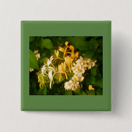 Wild Blooming Rose Honeysuckle Button